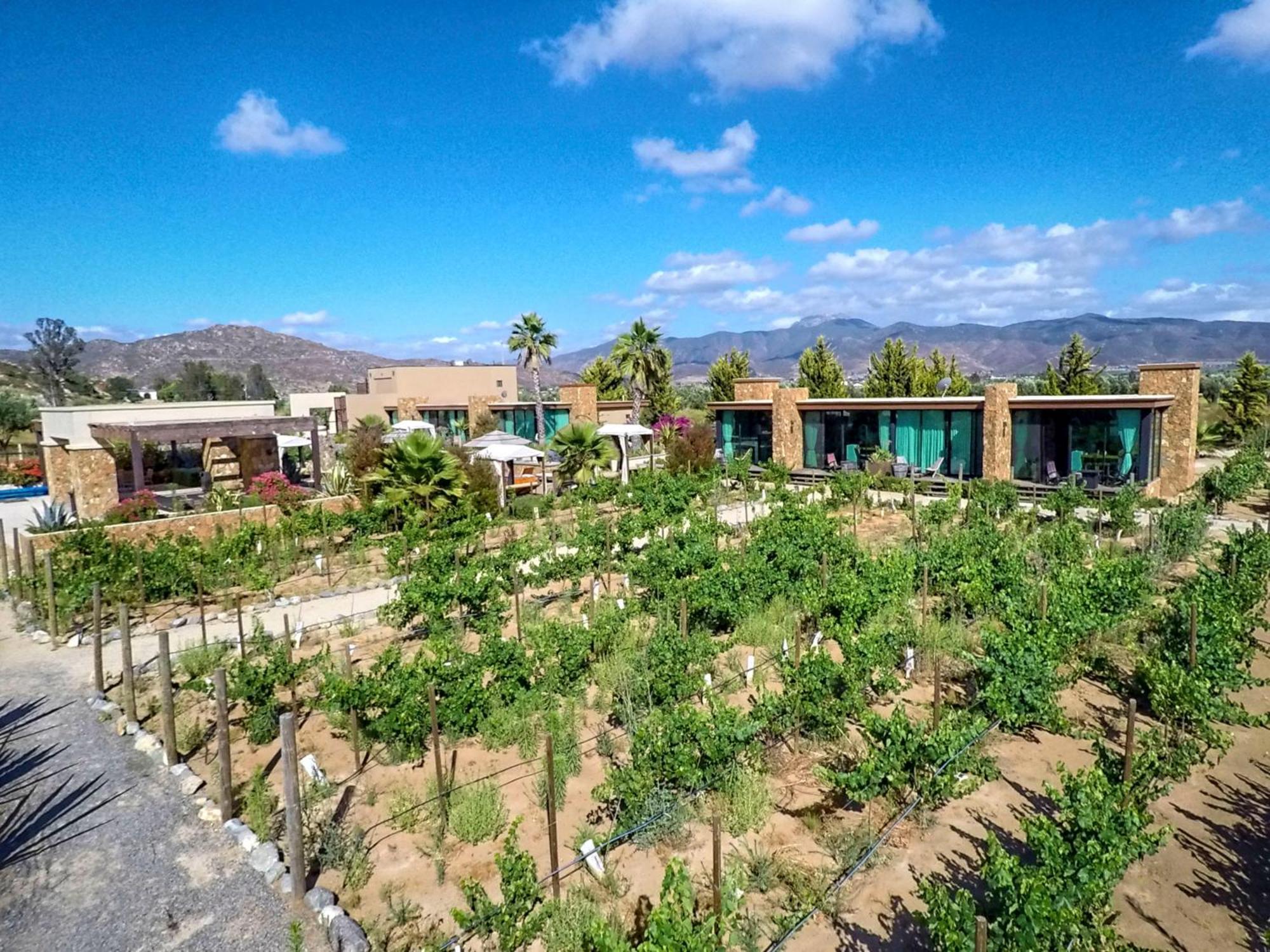 Entre Vinedos By Hotel Boutique Valle De Guadalupe Exterior foto